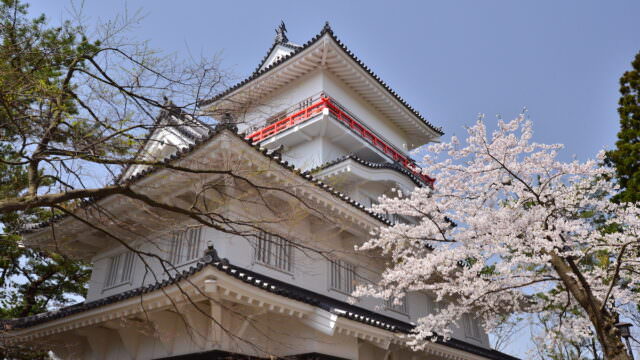 01千秋公園桜まつり-640x360